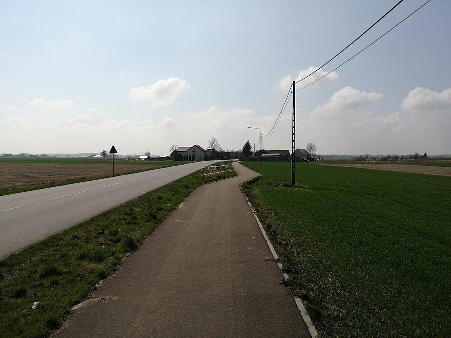 Ścieżka rowerowa na trasie Kuchary - Krzywosądów.