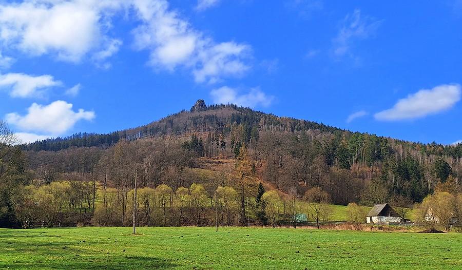Sokolik w pełnej krasie