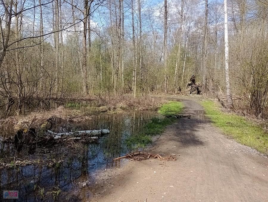 Do tego miejsca poprawili drogę