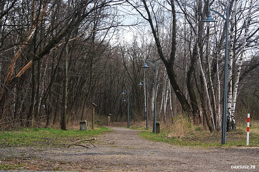 Sosnowiec Milowice - Park Tysiąclecia