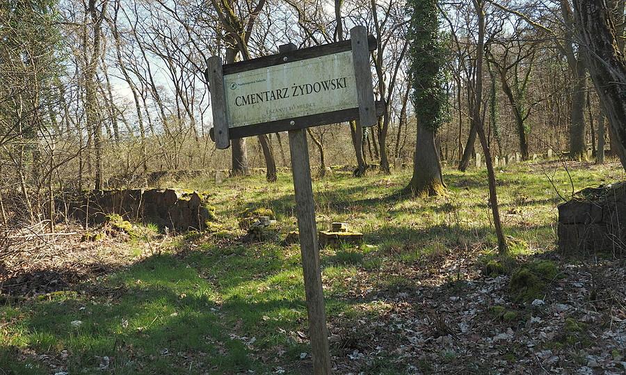 Cmentarz Żydowski w Trzemesznie