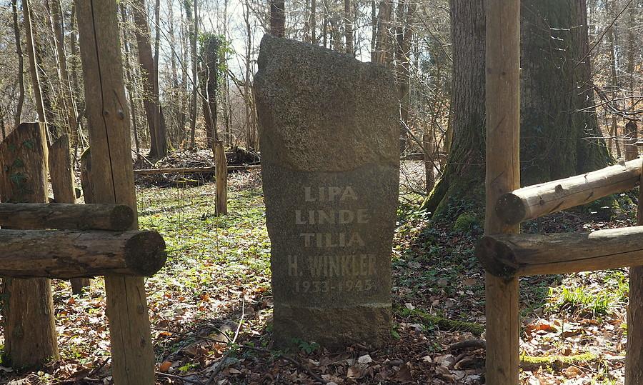Lipa Winklerów