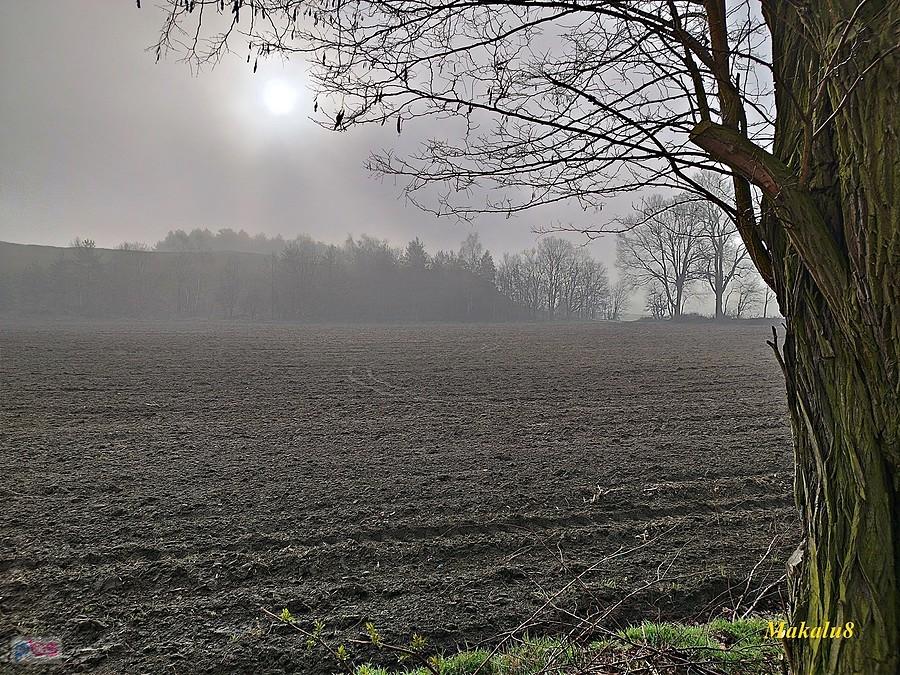 Hałda popłuczkowa