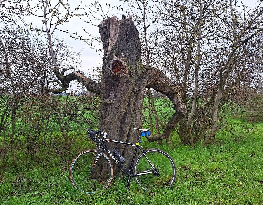 Pod znajomym cyklopem spod Tulec