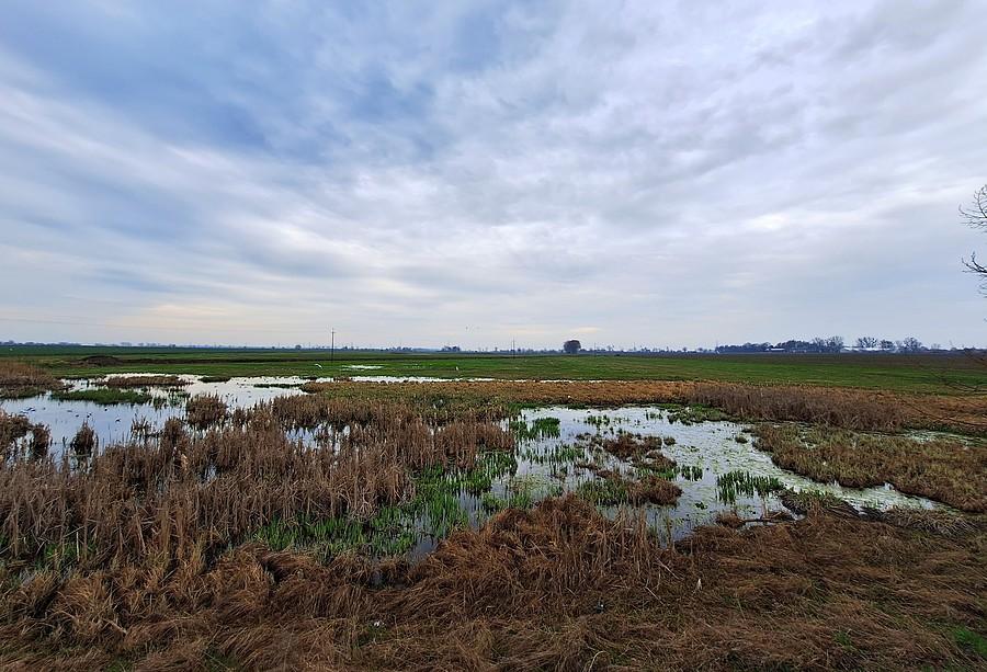 Szczodrzykowo pod chmurką