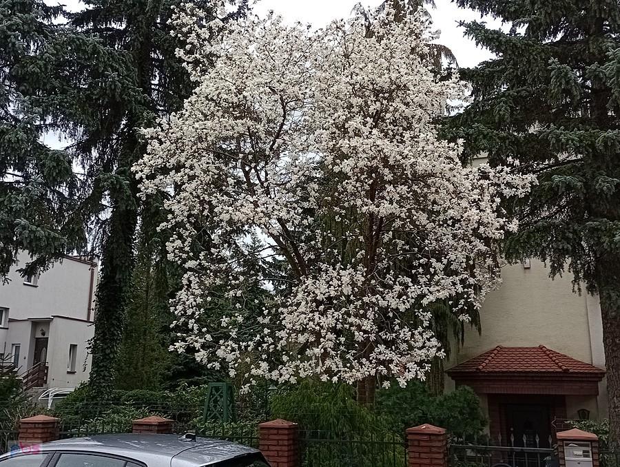 I jeszcze jedna