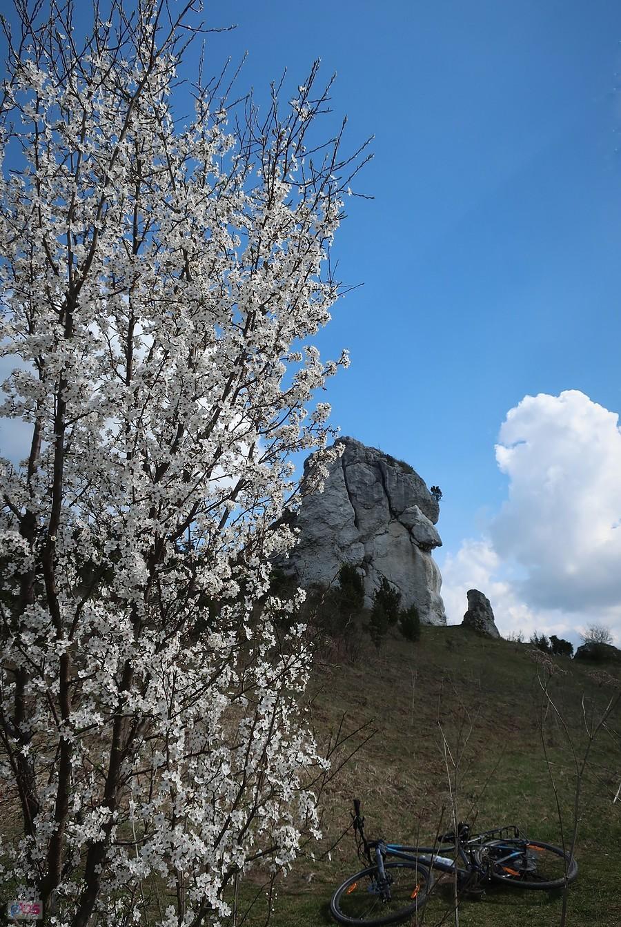 Skała Szafa