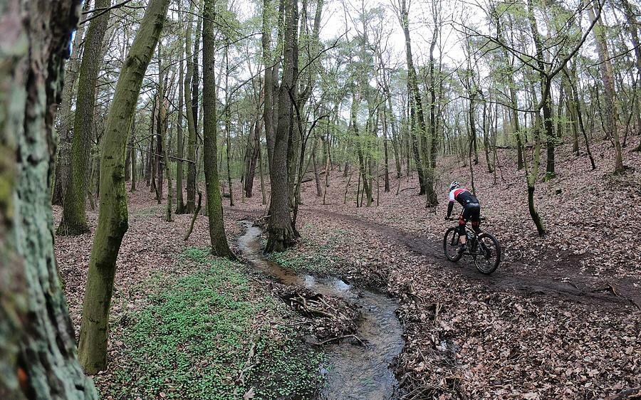 Kręte single, strumyki, podjeżdziki i zjeżdziki - spoko waruny mam do dobrego MTB-owania
