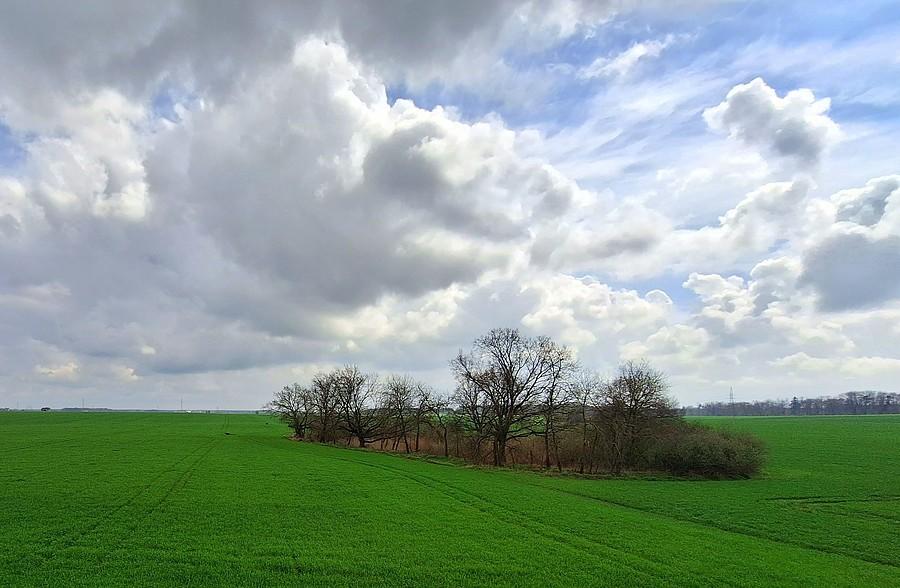 Widok z zakazanej ambony