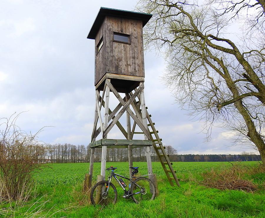 Pod rzeźnią