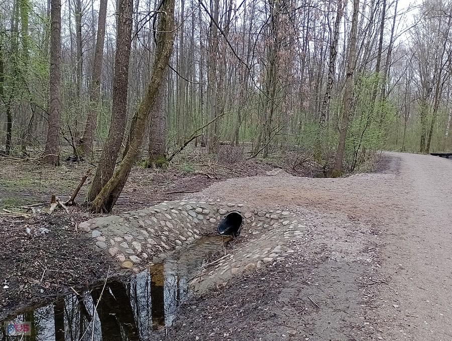 Przepusty przy leśnej drodze