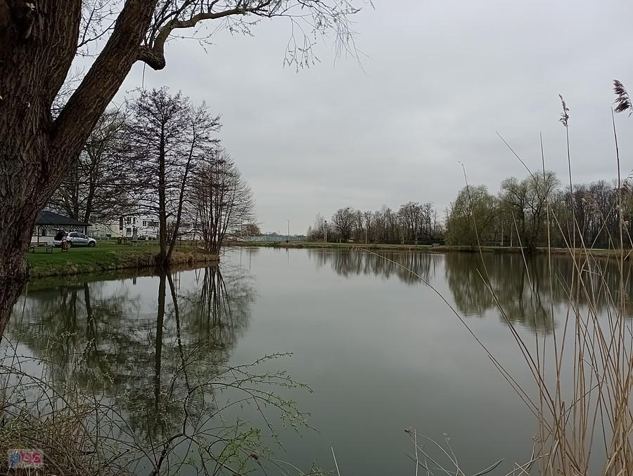 Staw w Zielonkach