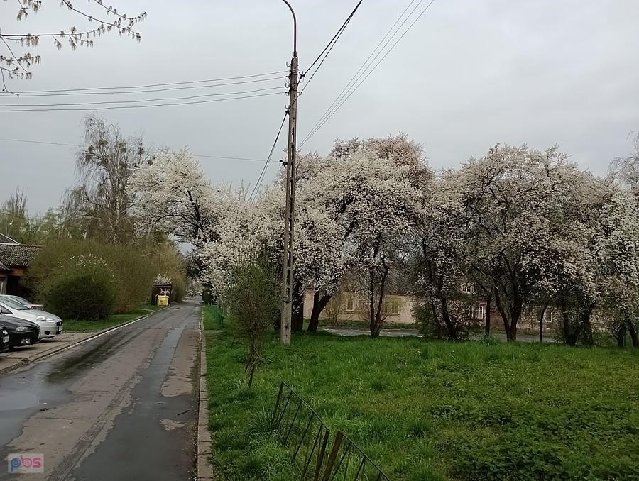 Wiosna na osiedlu Przyjaźń