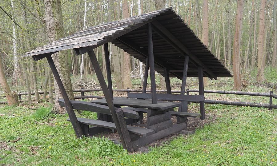 Parking z lasów bolewickich