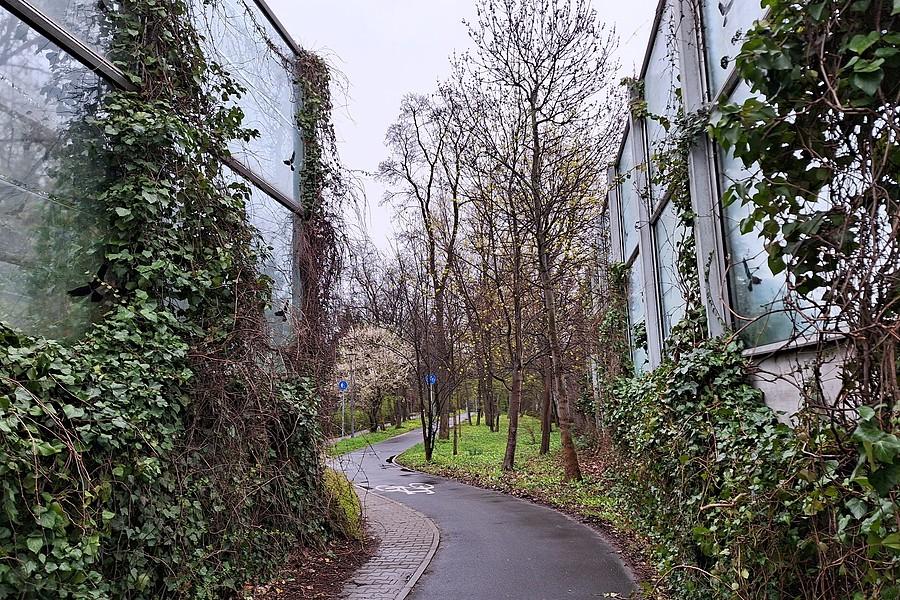 Jedna z bardziej klimatycznych poznańskich DDR-ek