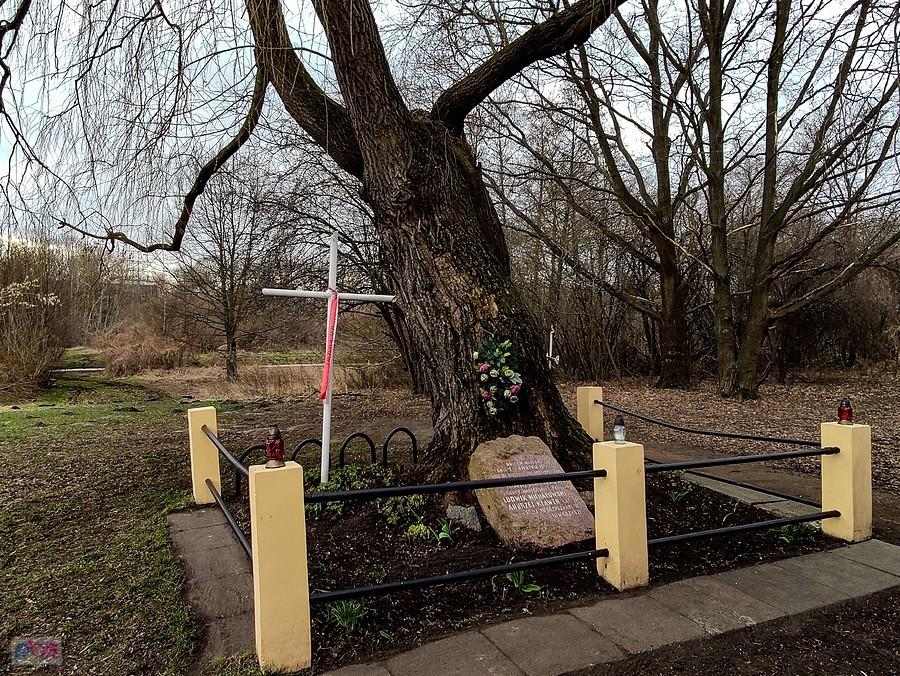 Mogiła żołnierzy AK na Błoniach Wilanowskich