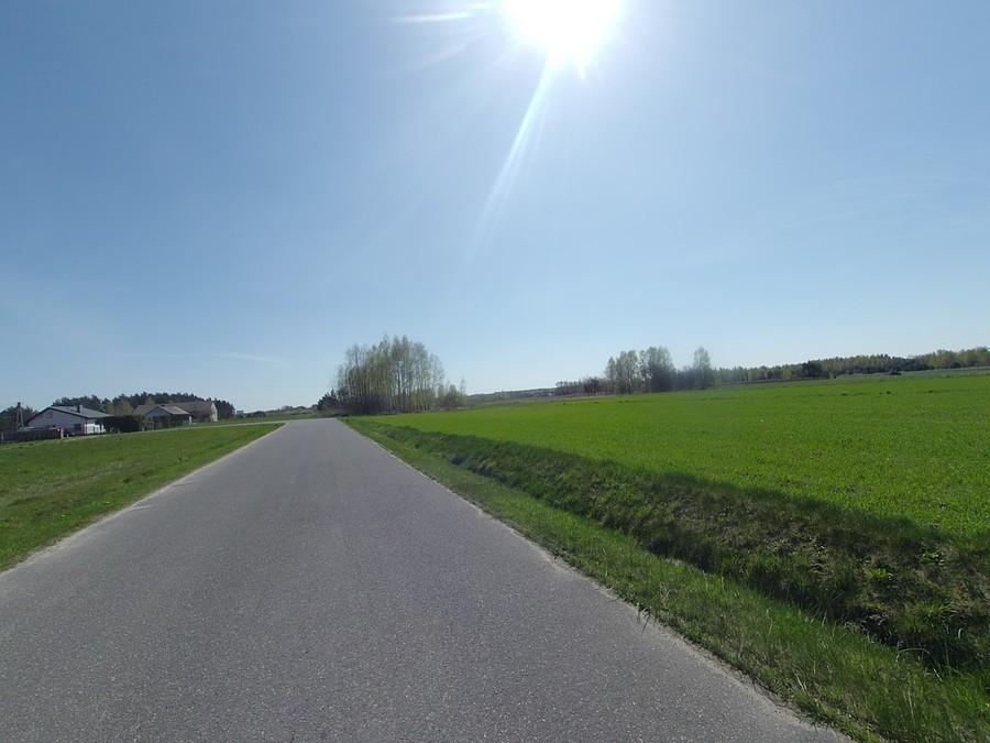 Zielono na polach