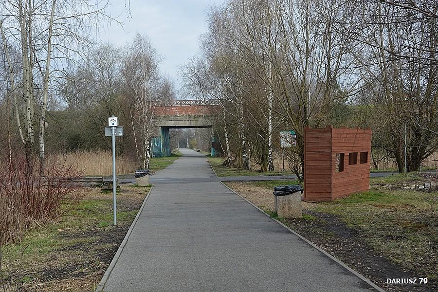 Bytom - Zespół przyrodniczo-krajobrazowy Żabie Doły