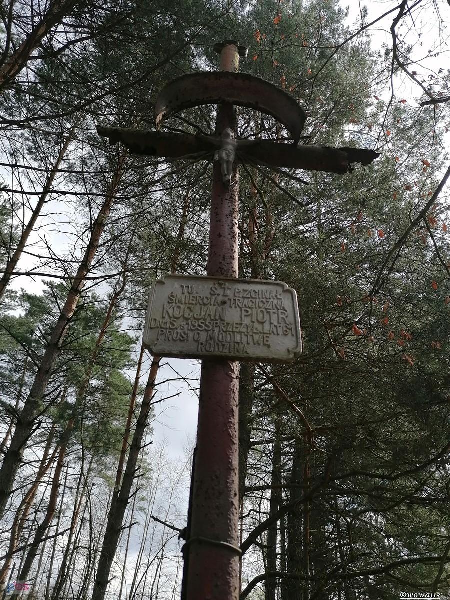 Krzyż Kocjana