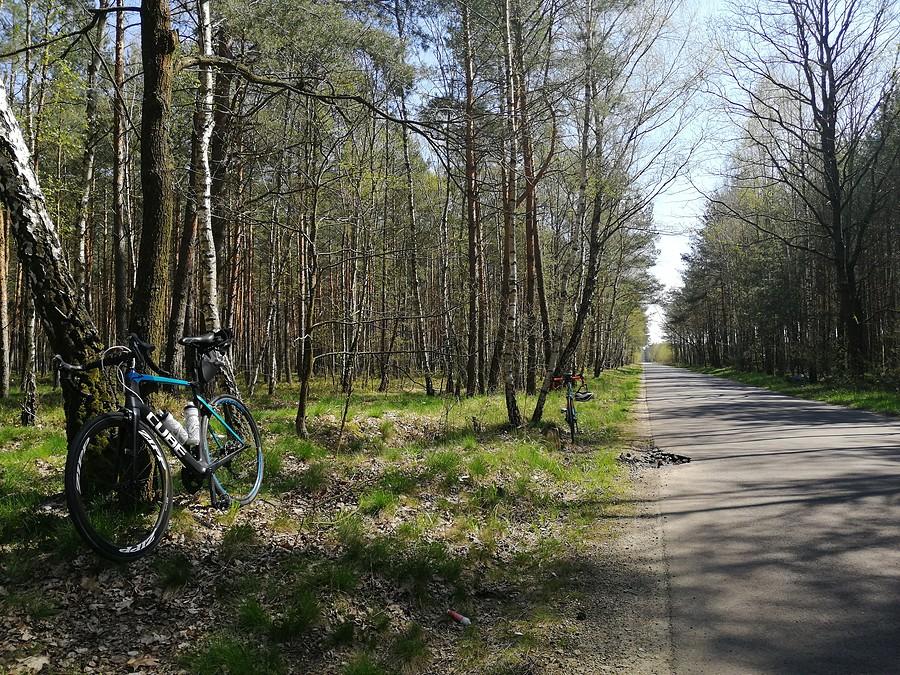 Rowerki na pauzie.