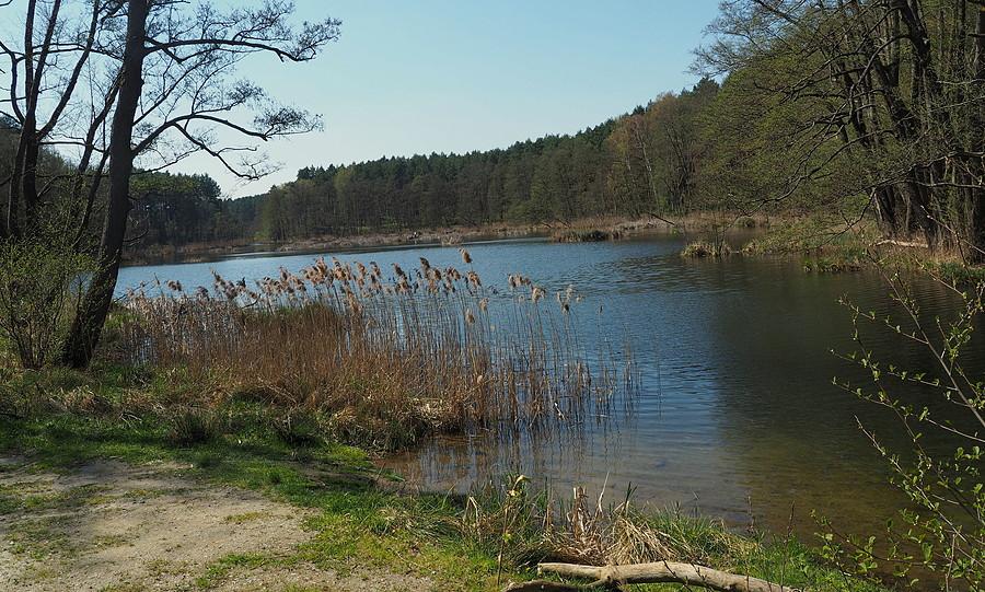 Rozlewiska Jeziornej, dawny staw młyński Heidemühle