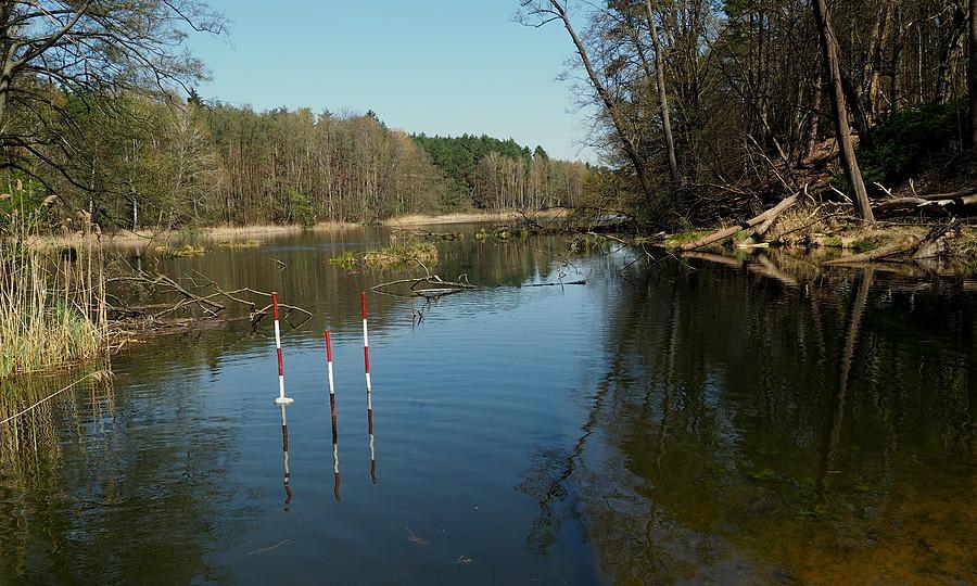 Heidemühle, cofka Zalewu Bledzewskiego.