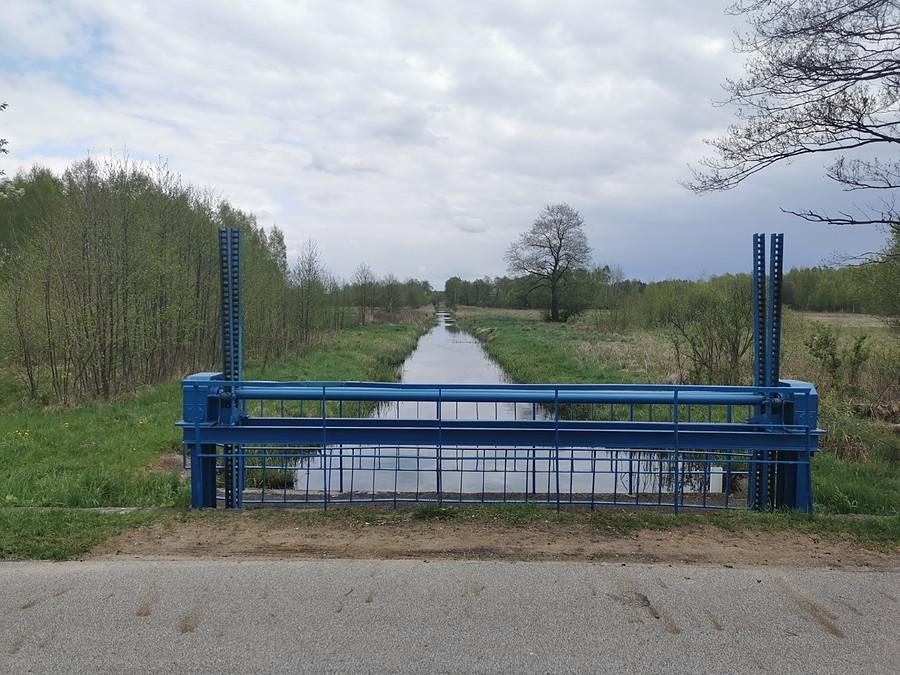 Kanał Łasica w Puszczy Kampinoskiej