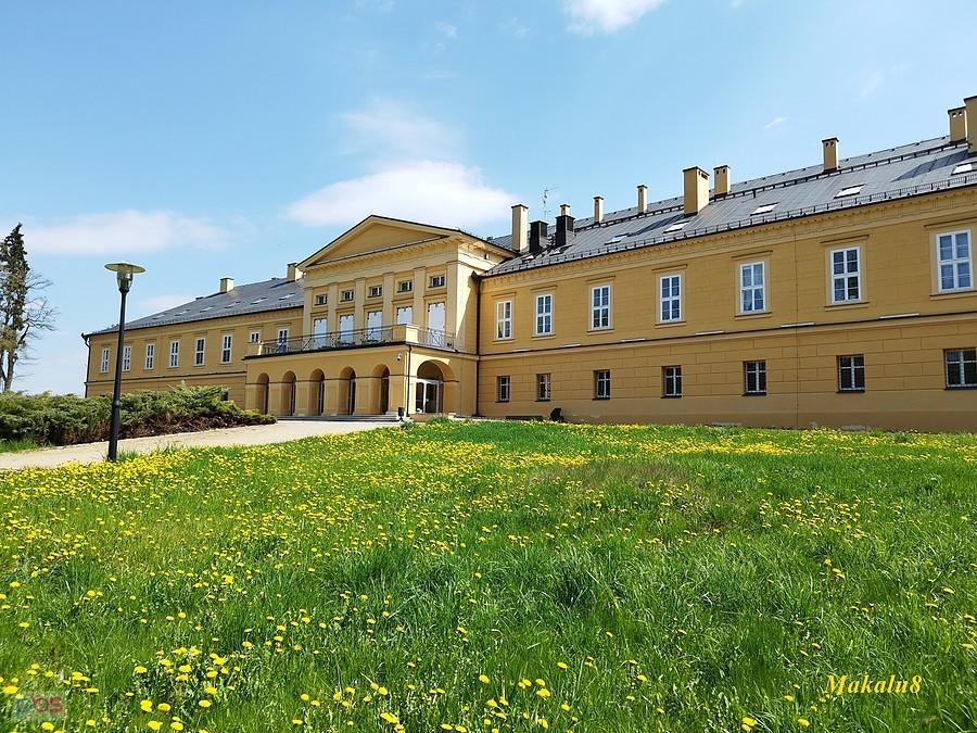 Moiki w Koszęcinie