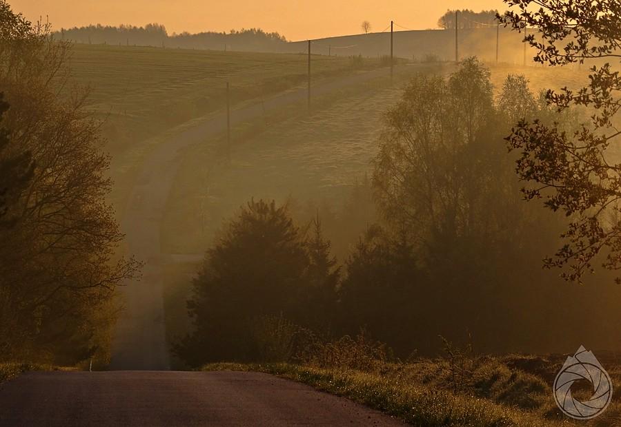 słońce muska zamgloną szosę za Tarnawką