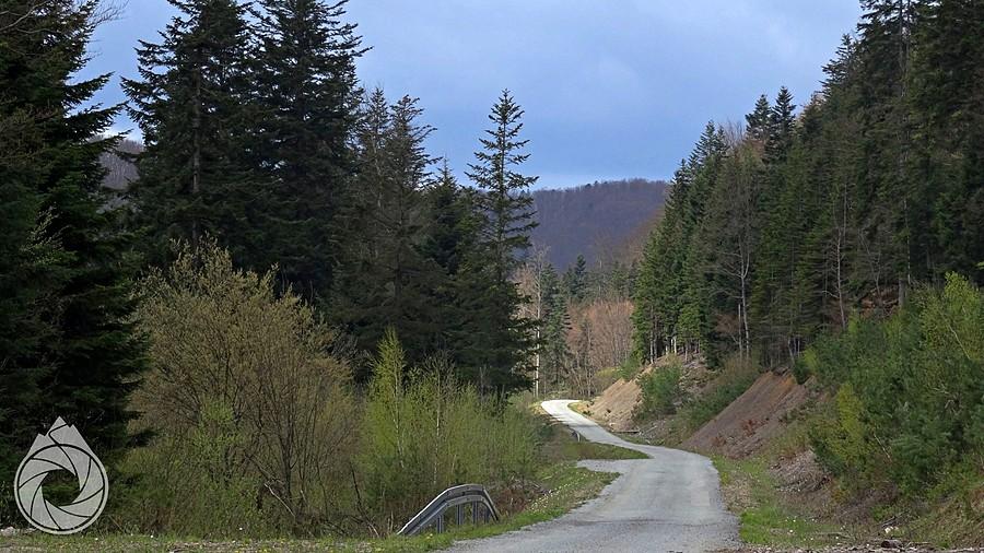 początek podjazdu na przełączkę nad Puławami