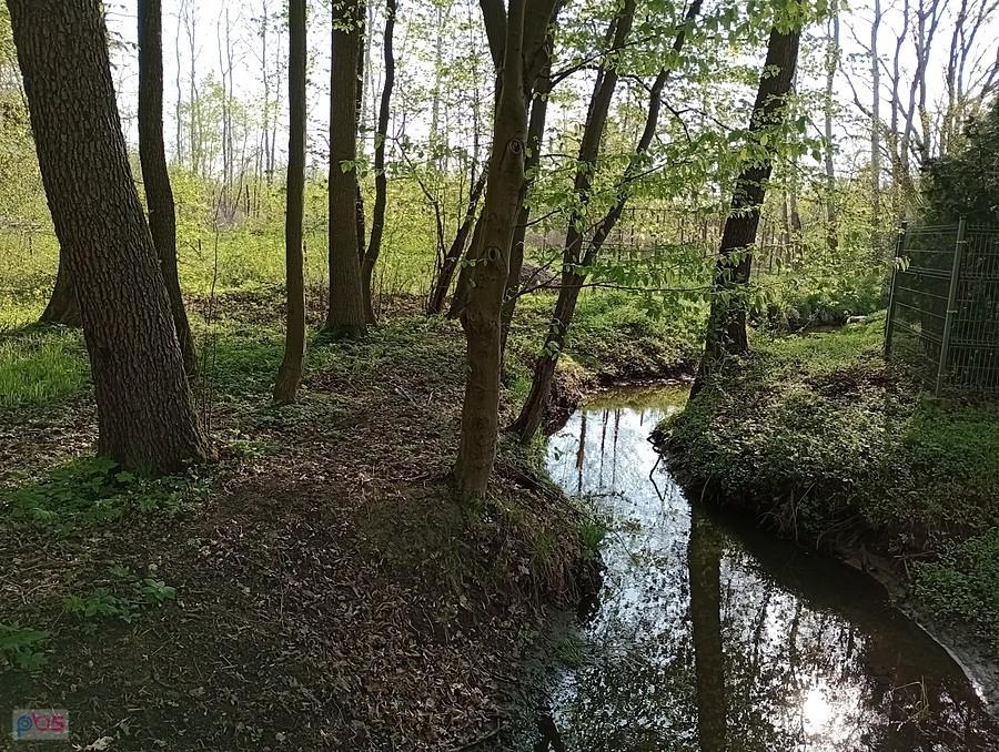 Strumyk w Klaudynie