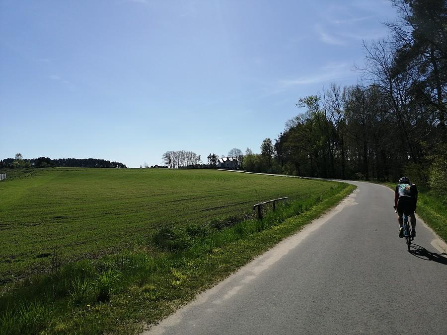 Kobyla Góra 284 m npm.