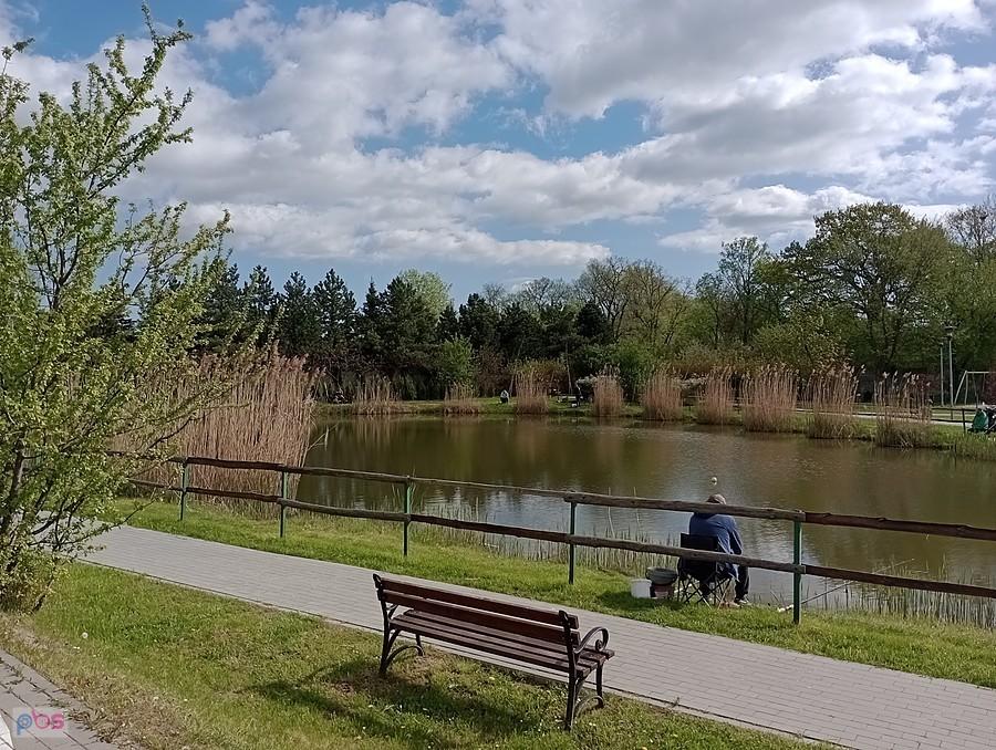 Staw w Borzęcinie