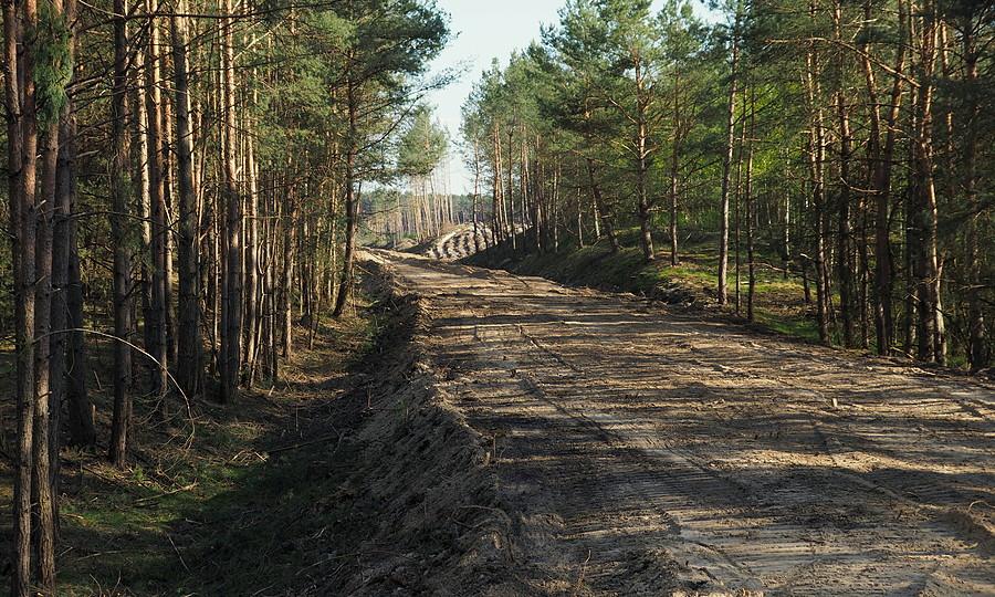 Dawna linia kolejowa 430. Napotkany tubylec twierdzi że będzie tu leśna droga rowerowa.