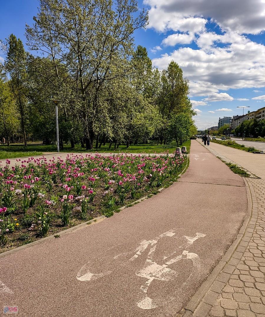 DDR w al. KEN przy Parku Przy Bażantarni