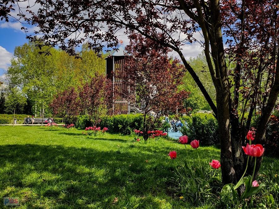 Park Przy Bażantarni