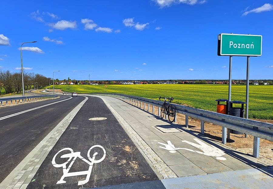 Rzepakowy widok na Poznań