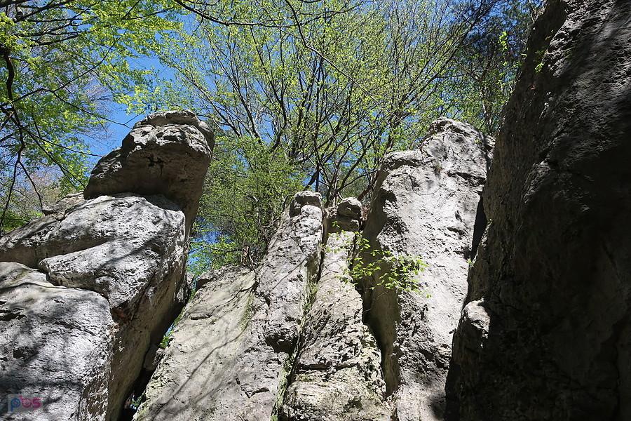 Skały na Wampirku