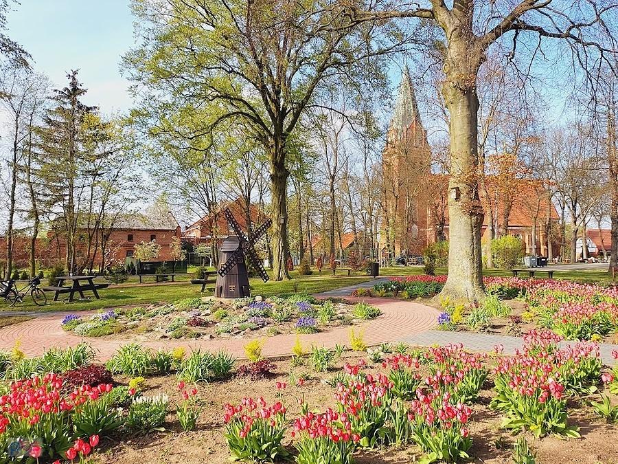 Park z tulipanami