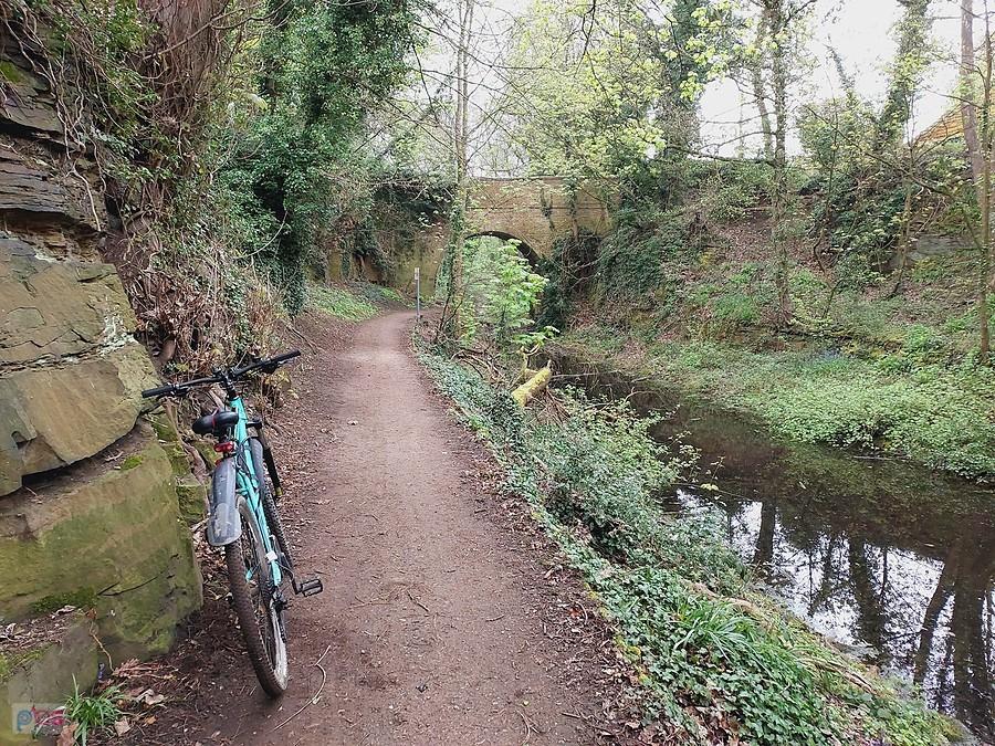 Naturalny rezerwat trasa Trans Pennine Trails odcinek Leeds -Wombwell