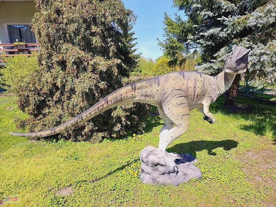 Dinozaur w Starogrodzie