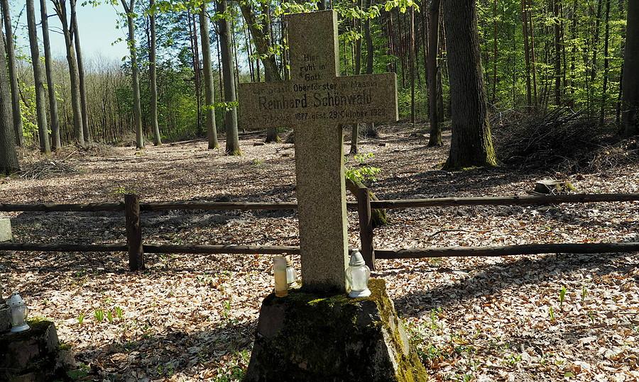 I samego nadleśniczego Schönwalda