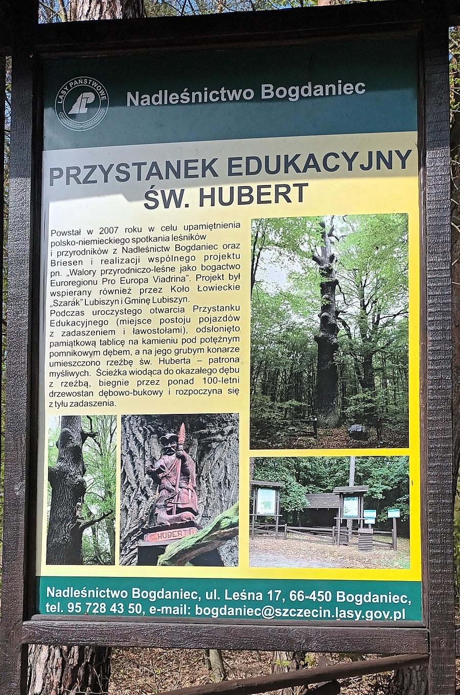 Na parkingu przy drodze 130