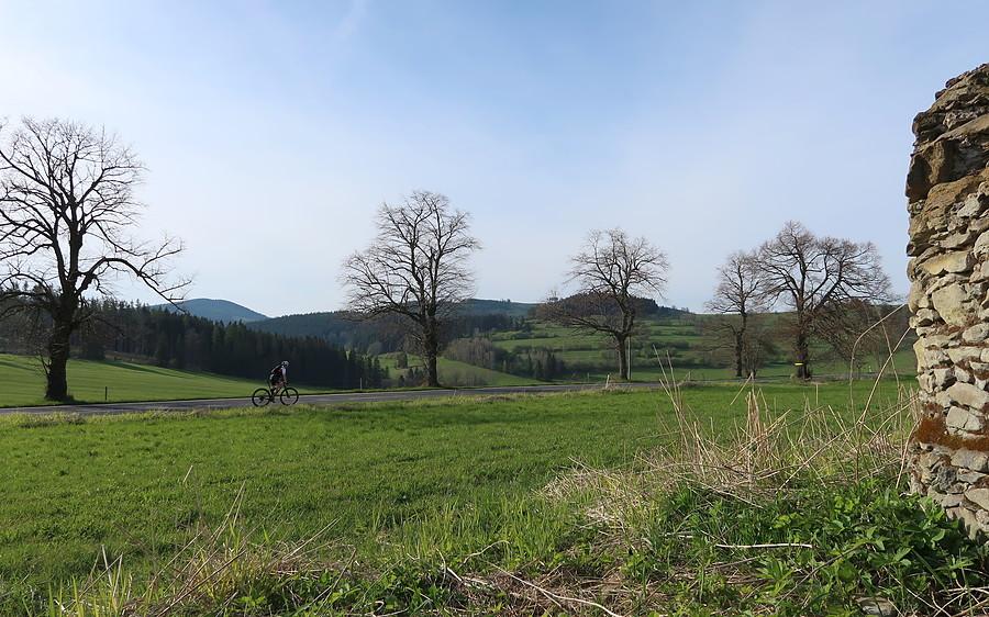Sielanka w drodze powrotnej