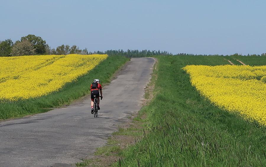 Urok bocznych i polnych asfalcików