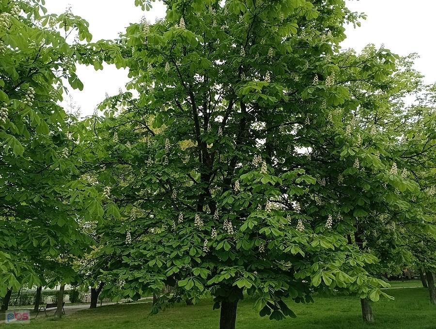 Jednak zdążyły