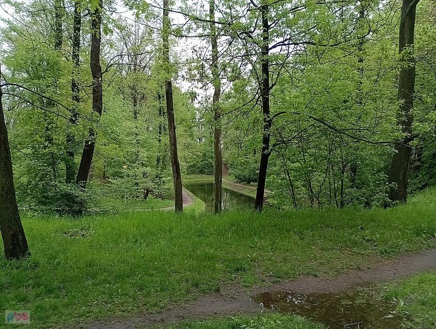 Fosa w parku na Forcie Bema