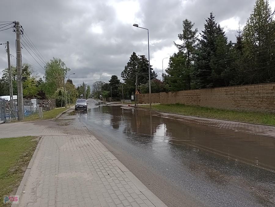 Jeziorko Szeligowskie ma się dobrze, mimo wyremontowanej w tym miejscu ulicycy.