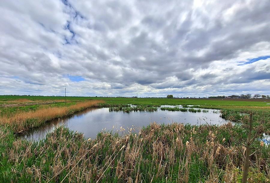 Niebo nad Szczodrzykowem