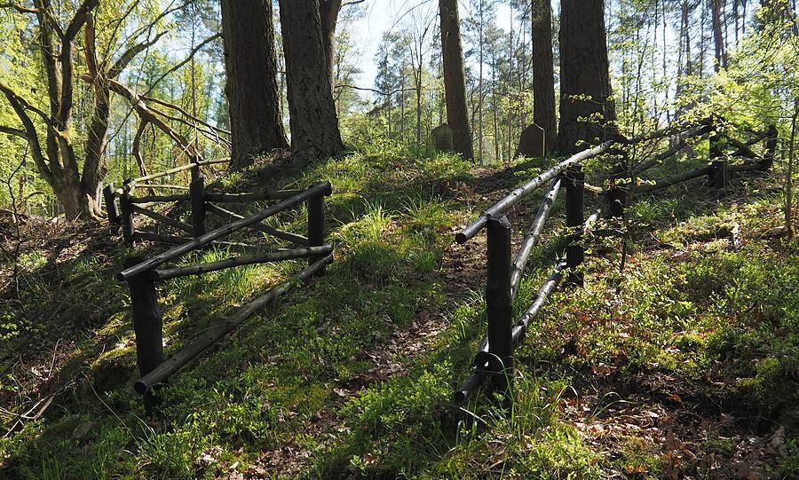 Pagórek z kolejnym kamieniem Schönwalda